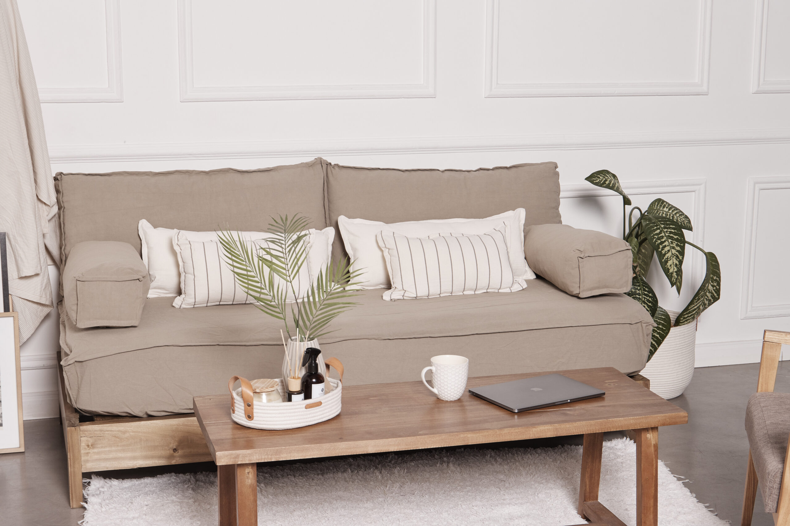 Vandeco0499