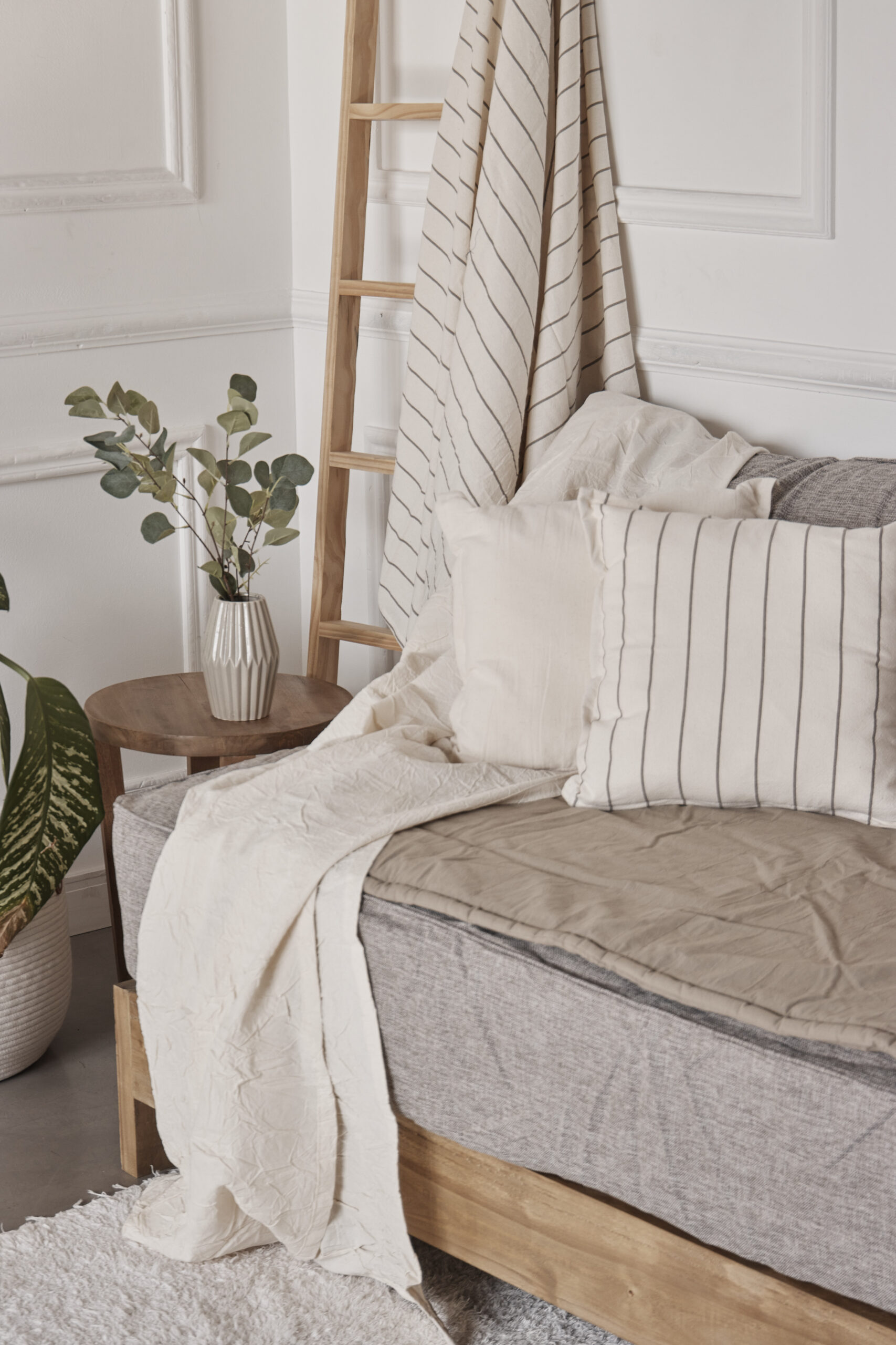 Vandeco0136
